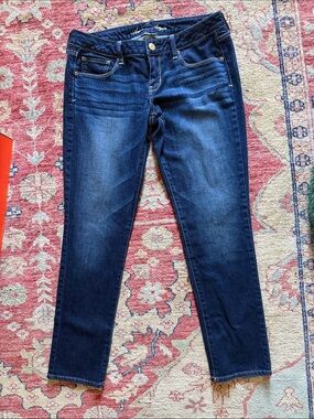 American Eagle Outfitters Dark Blue Skinny Jeans